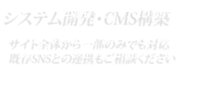 システム開発・CMS構築